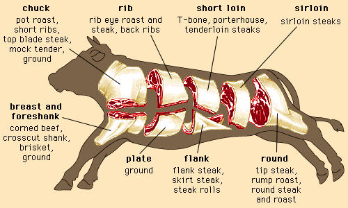 Beef Cuts | Beef Anatomy | Northwest Meat Company