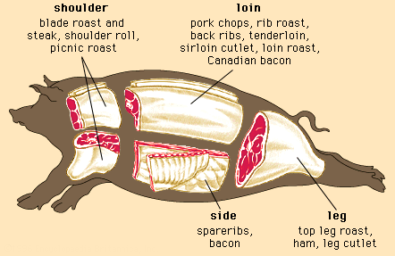 Pork Cuts | Pork Anatomy | Northwest Meat Company