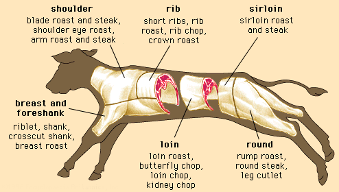 Veal Cuts | Veal Anatomy | Northwest Meat Company