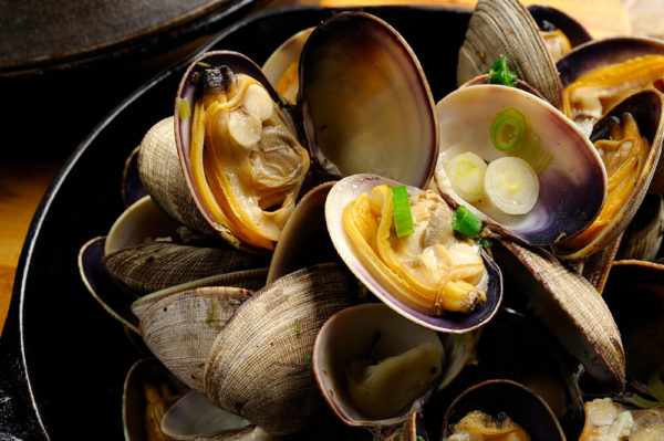 wholesale clams