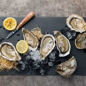 wholesale east coast oysters
