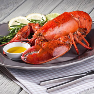 wholesale lobster