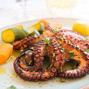 wholesale octopus