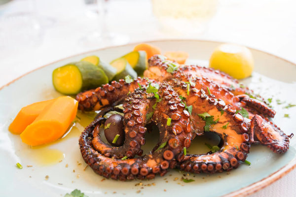 wholesale octopus