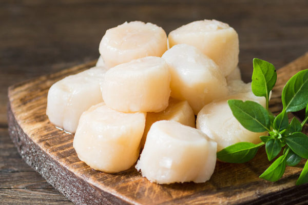 wholesale scallops