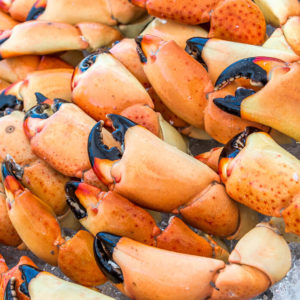 stone crab claws