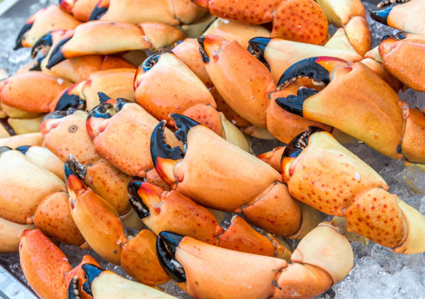 stone crab claws