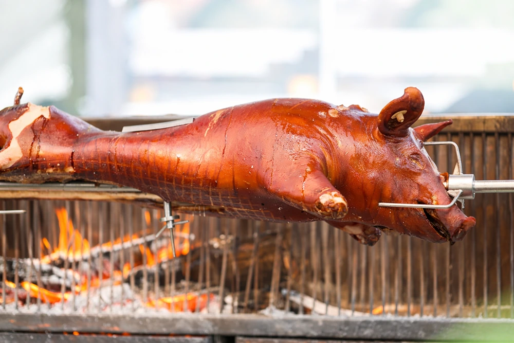 PIG, WHOLE FOR ROAST